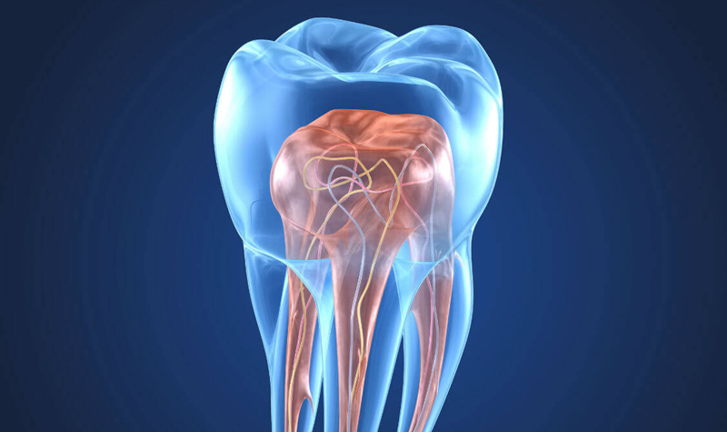 Endodoncia Clínica Vallegrande